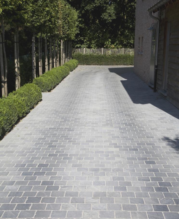 Vietnamees Hardsteen (gezoet en verouderd)