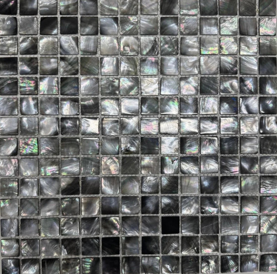 Deep Sea Shell Pearl Natural