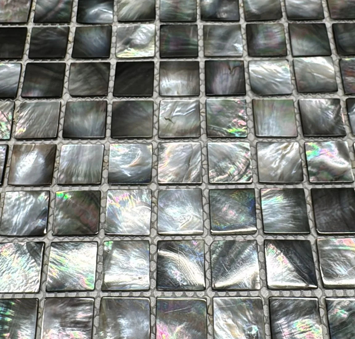 Deep Sea Shell Pearl Natural