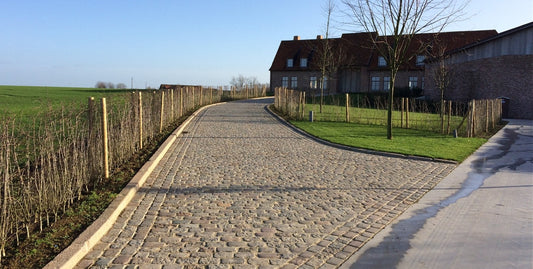 art 812 Zweeds Graniet 200x140x30-50mm
