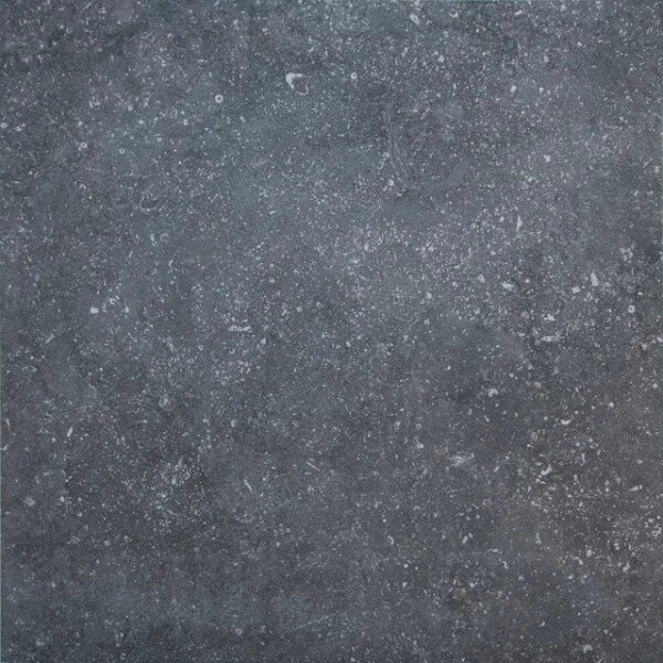 Pierre Bleu Noir - Afbeelding 2